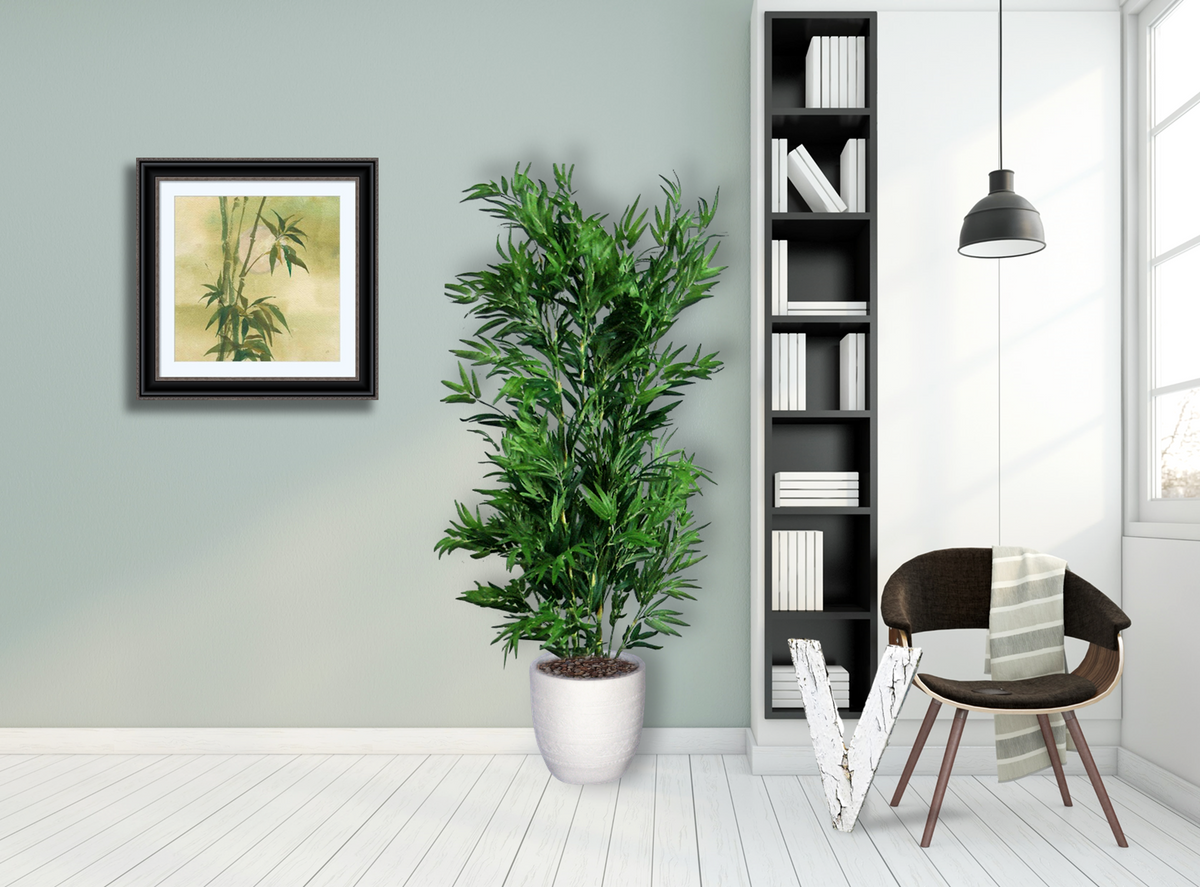 Tropical Collection – Cypress and Alabaster