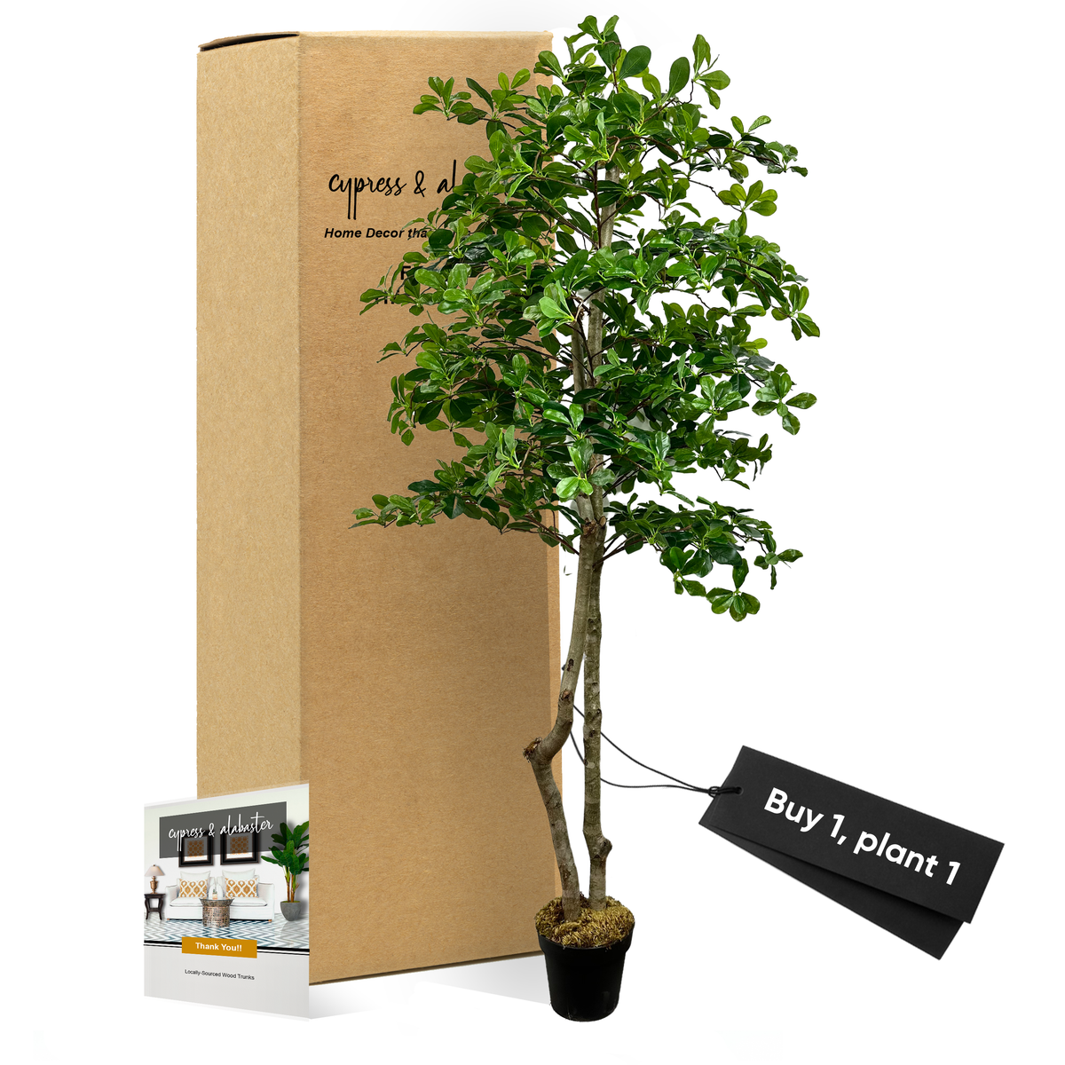 6' Italian Black Olive Leaf Artificial Tree – Cypress and Alabaster
