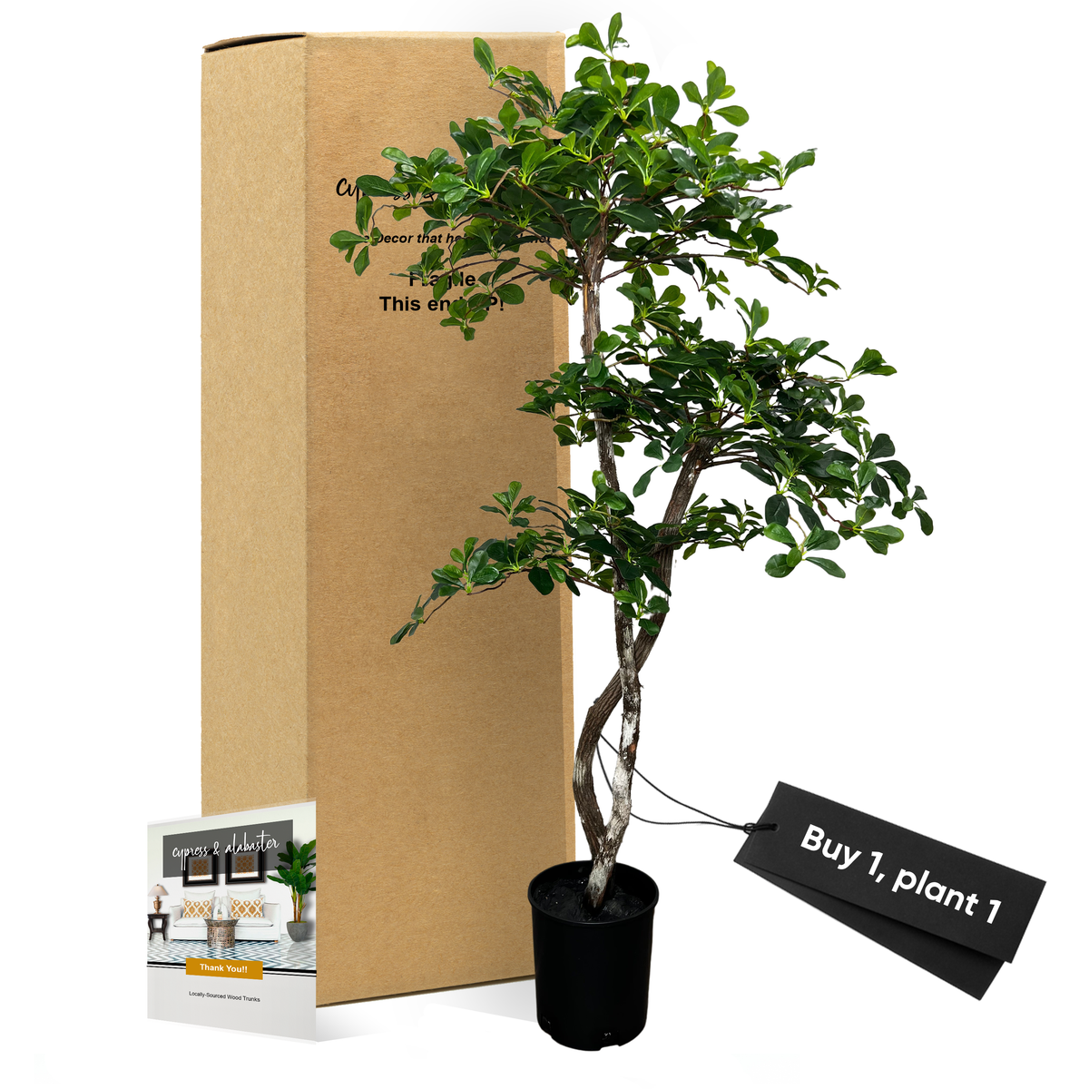 5' Artificial Black Olive Leaf Tree – Cypress and Alabaster