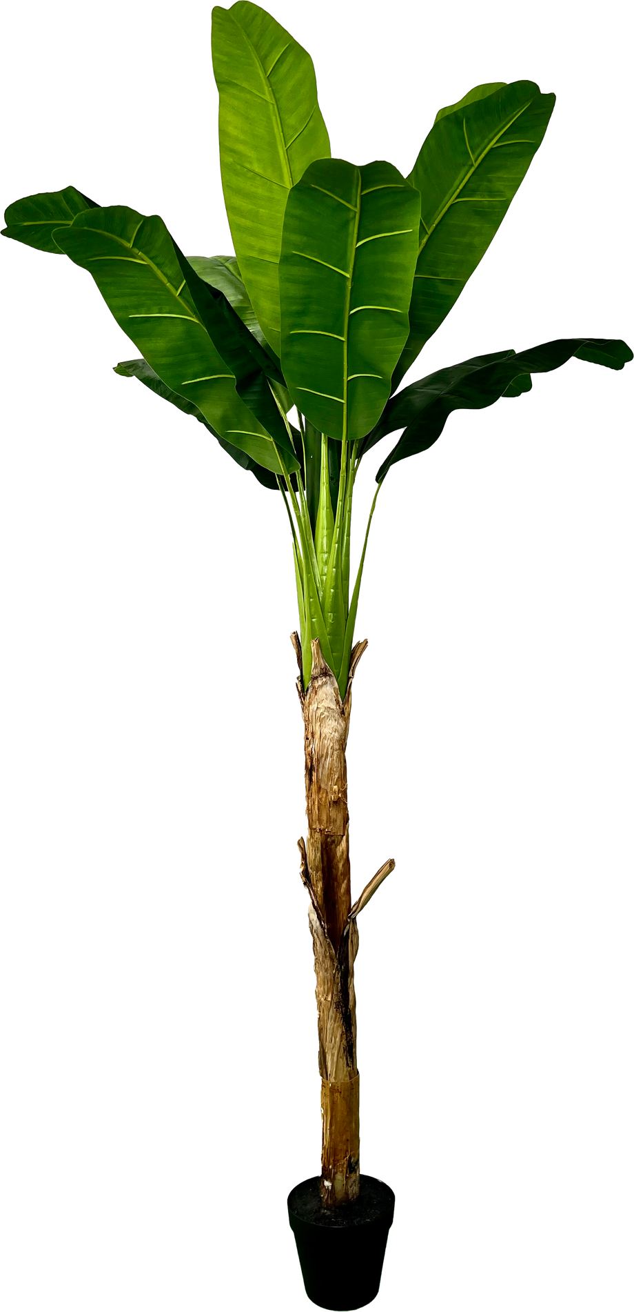 6 Artificial Banana Plant Tree Single Stalk