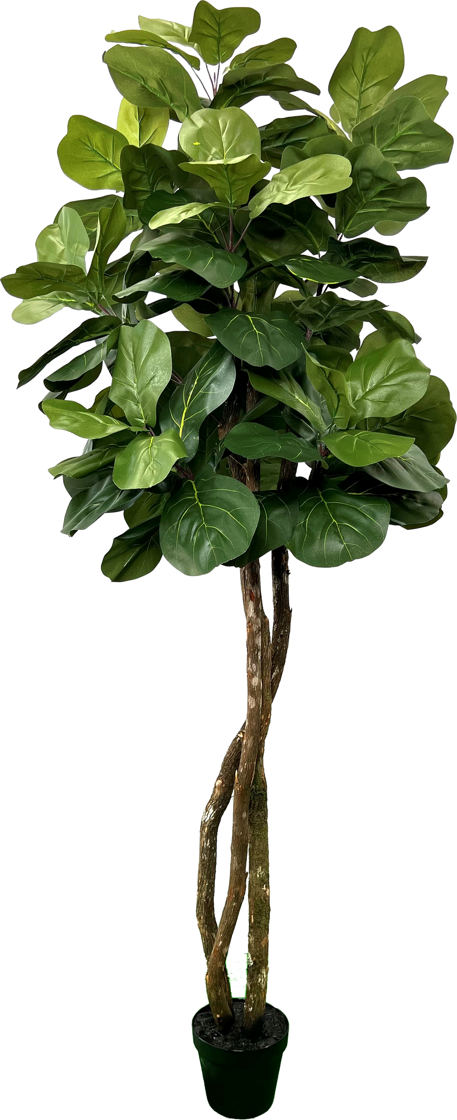 fake fig plant Lush 6' Artificial Fiddle Leaf Fig Tree, Green